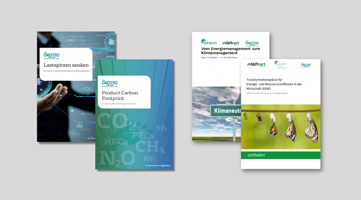 Downloads White Paper, Leitfäden & Checklisten - ÖKOTEC Energiemanagement