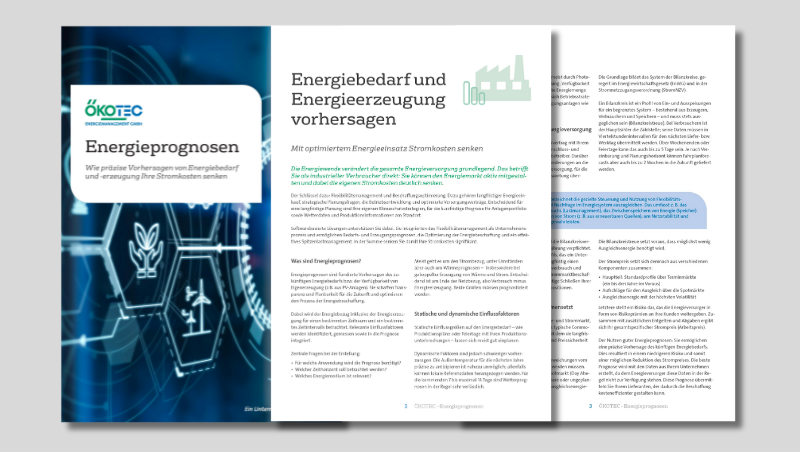 White Paper Energieprognosen - Energiebedarf und Energieerzeugung vorhersagen