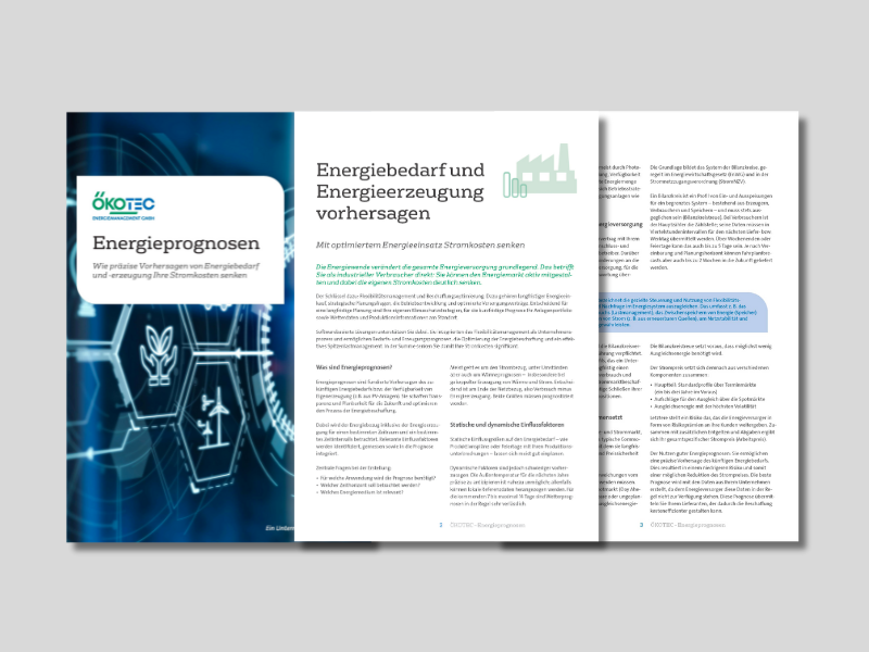 White Paper Energieprognosen - Energiebedarf und Energieerzeugung vorhersagen