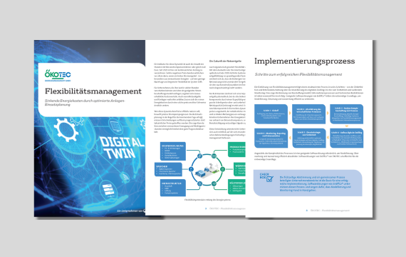White Paper Flexibilitätsmagement - ÖKOTEC Energiemanagement
